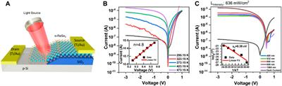 Trap-assisted monolayer ReSe2/Si heterojunction with high photoconductive gain and self-driven broadband photodetector.